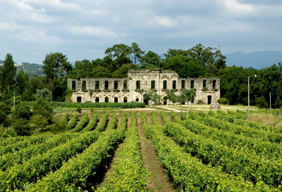 casa vila boa. 2007