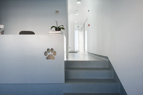 canidelo veterinary clinic. gaia