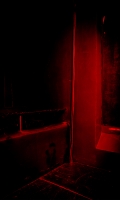 31x51cm backlit print in a Lightbox